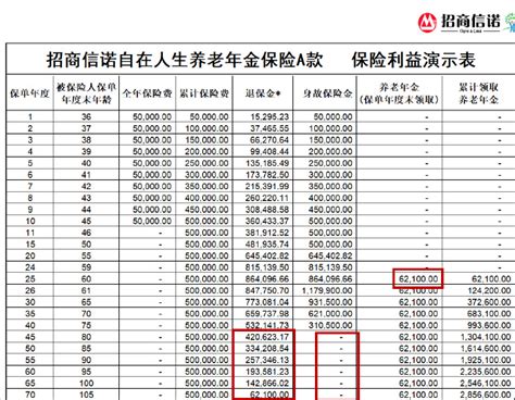 中年人养老金理财计划方案设计