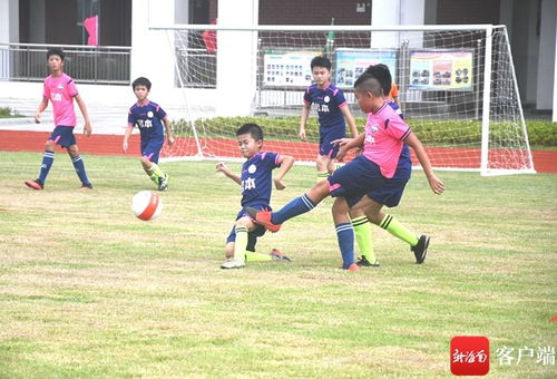 小学足球热身动作视频