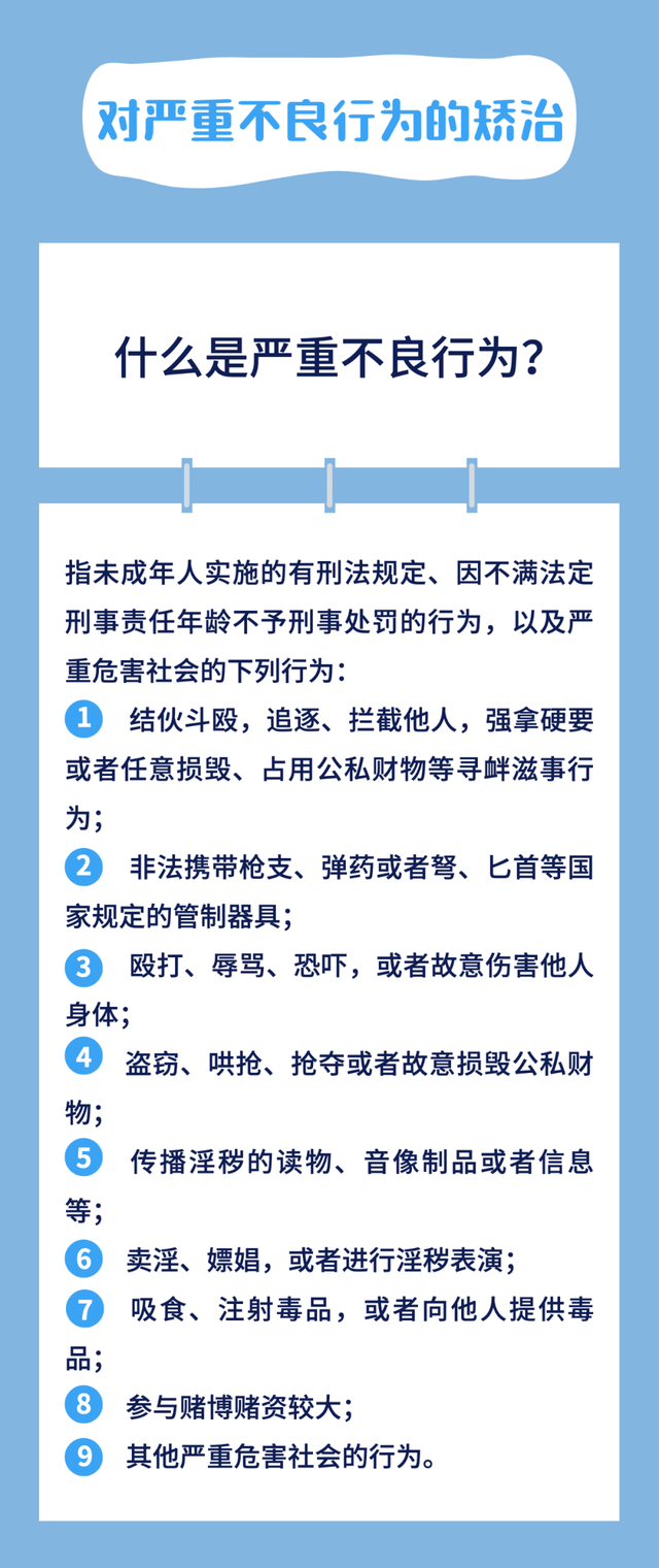 小身隐在三当家打一最佳准确生肖是什么，国产化作答解释落实_豪华版16.370