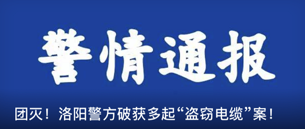 金银财宝随手拿打一最佳精准生肖，经典解释落实_极速版40.703