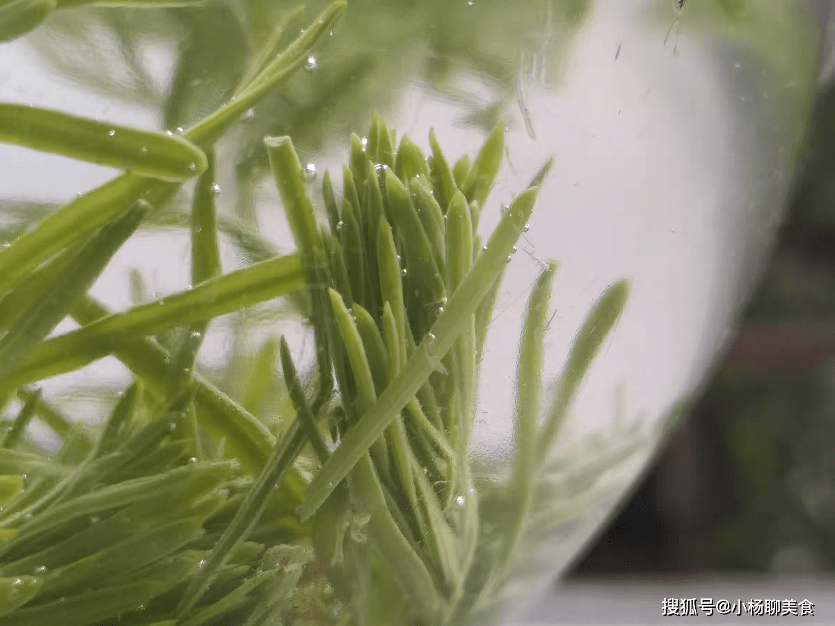 两角尖尖吃青草打猜一最佳生肖，绝对经典解释落实_ios49.811