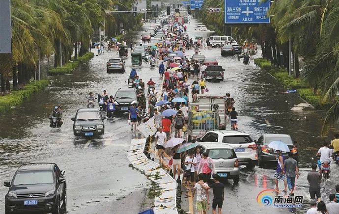 美国大选2024｜民主党惨败 内部及金主归咎「战犯」拜登︰早应宣布不连任