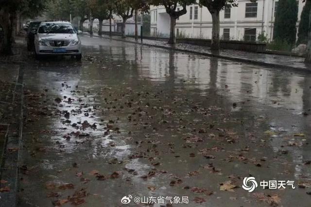 山东7市部分地区出现暴雨 强冷空气来袭