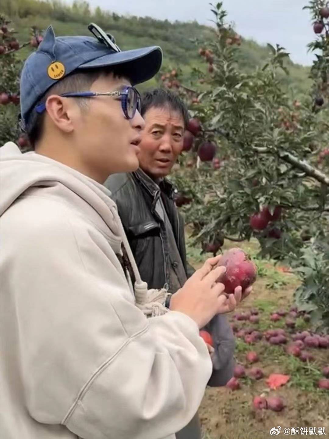 哥哥考上北大弟弟辍学卖苹果？虚假助农被查处