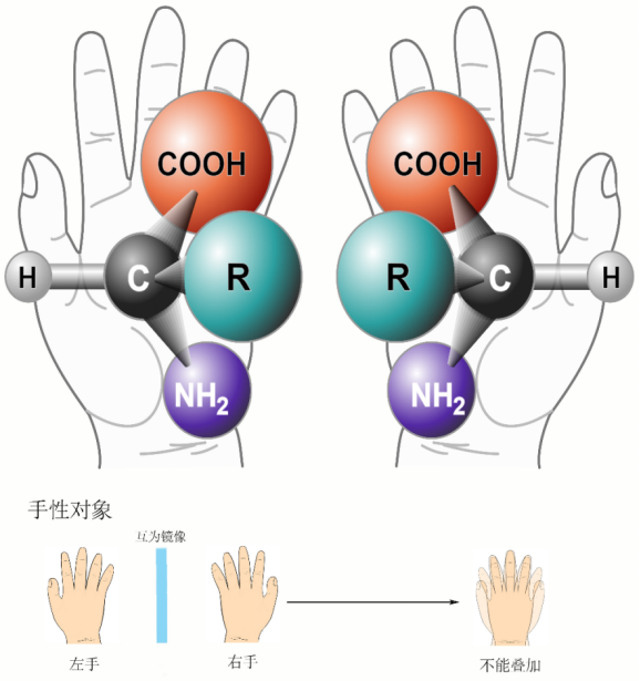 航天员如何在太空中自给自足？这些细菌可能帮上忙