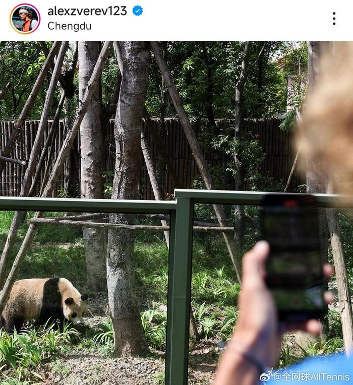 大战之前先放松，有网友拍到斯卢茨基前往大熊猫基地看熊猫_成都_蓉城_扑克