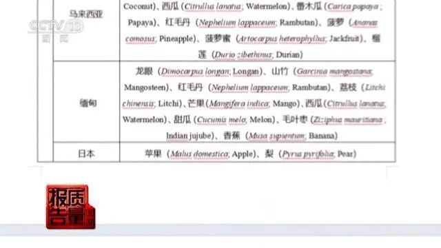 国产水果贴洋标签变身卖天价 假进口水果真相揭秘