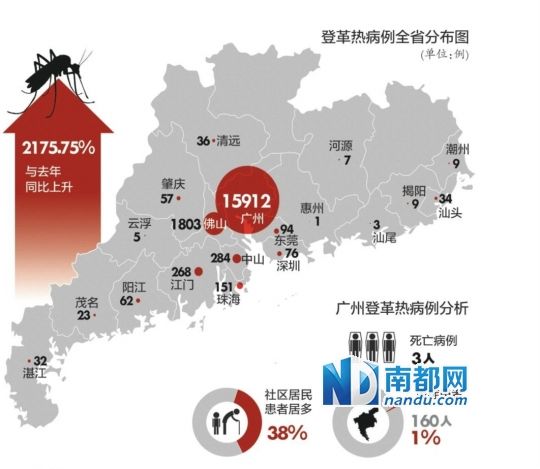 新增13宗登革热传入个案 其中11人潜伏期曾到广东