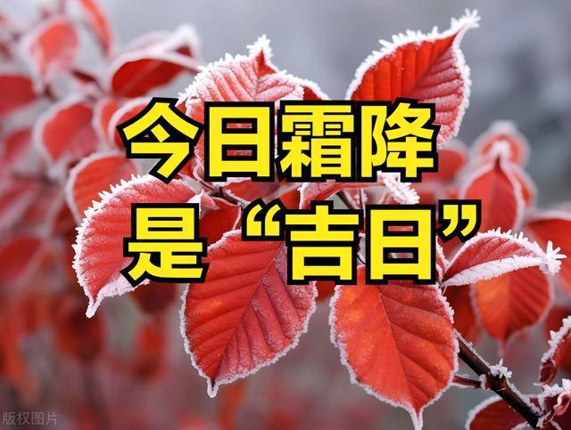 今日霜降 别忘了“3个习俗，3个注意” 1护2动3喝4吃