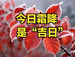 今日霜降 别忘了“3个习俗，3个注意” 1护2动3喝4吃