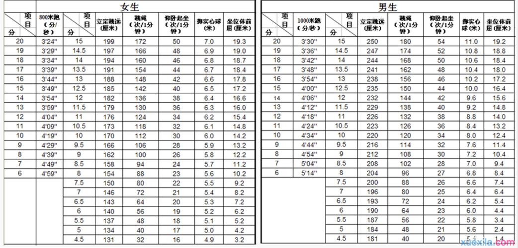 中考申请免考体育考试得几分