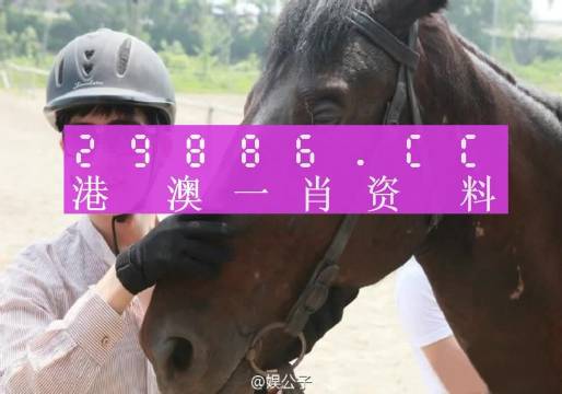 澳门今晚必中一肖一码准确9995，答案释义解释落实_ZOL12.35.92