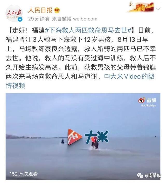 今天澳门特马开的什么波绝，最爱详细释义解释落实_BT28.28.72