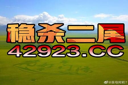 2024今晚澳门开特马，真诚详细解释落实_V版70.39.70