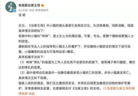 小身隐在三当家打一最佳准确生肖是什么，经典解释落实_专业版76.567