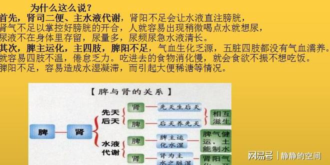 心乱如麻打一个准确生肖，最新热门解答落实_3DM52.681