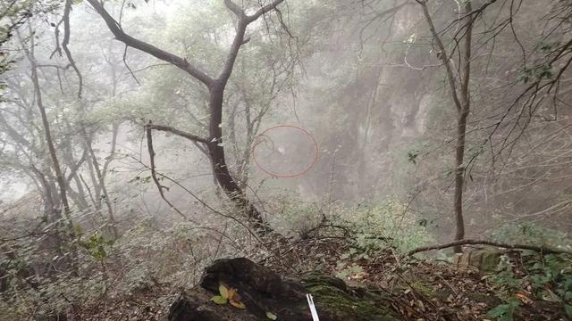 嵩山景区发布严禁经非游览线路进山公告 教授野线登山失联遇难