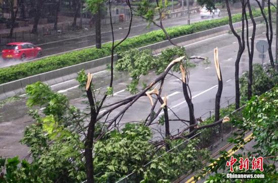 银杏对香港威胁解除 天文台下午取消所有热带气旋警告信号